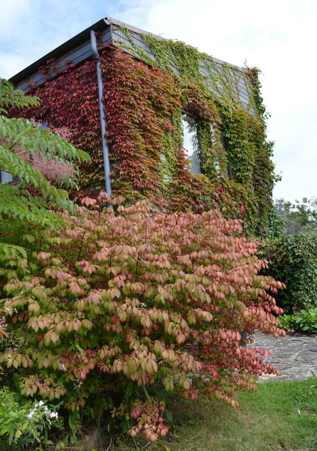 Jardin De Belle Vue Hotel Quimperlé Eksteriør billede