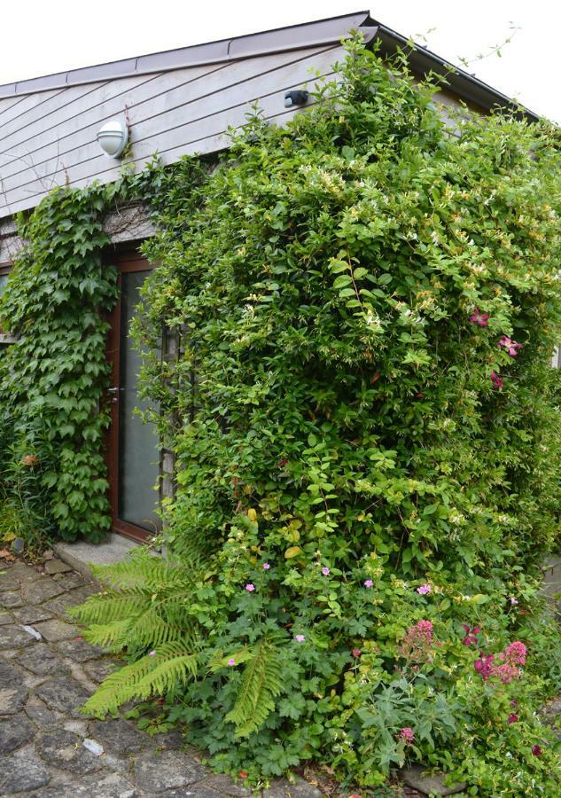 Jardin De Belle Vue Hotel Quimperlé Eksteriør billede